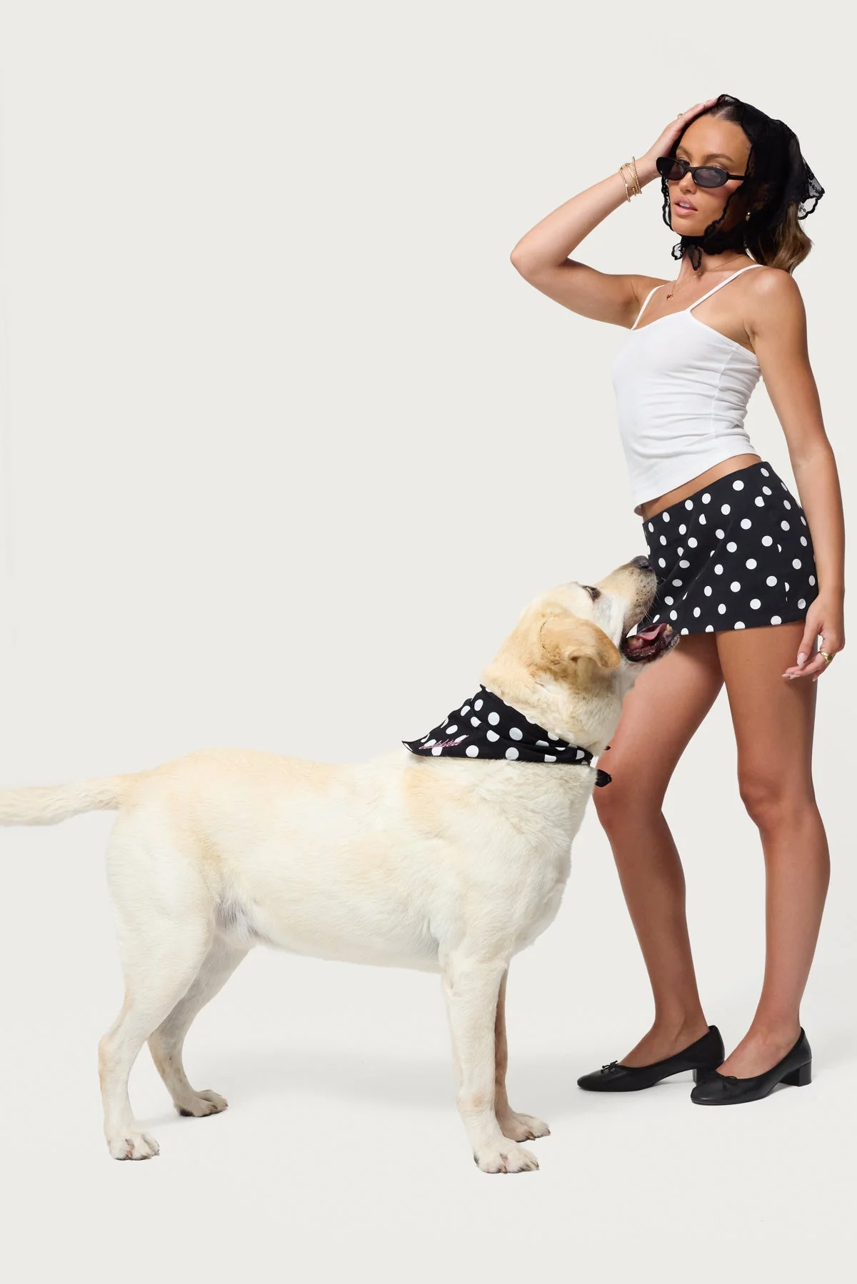 Pawka Dot Edikted Pet Bandana