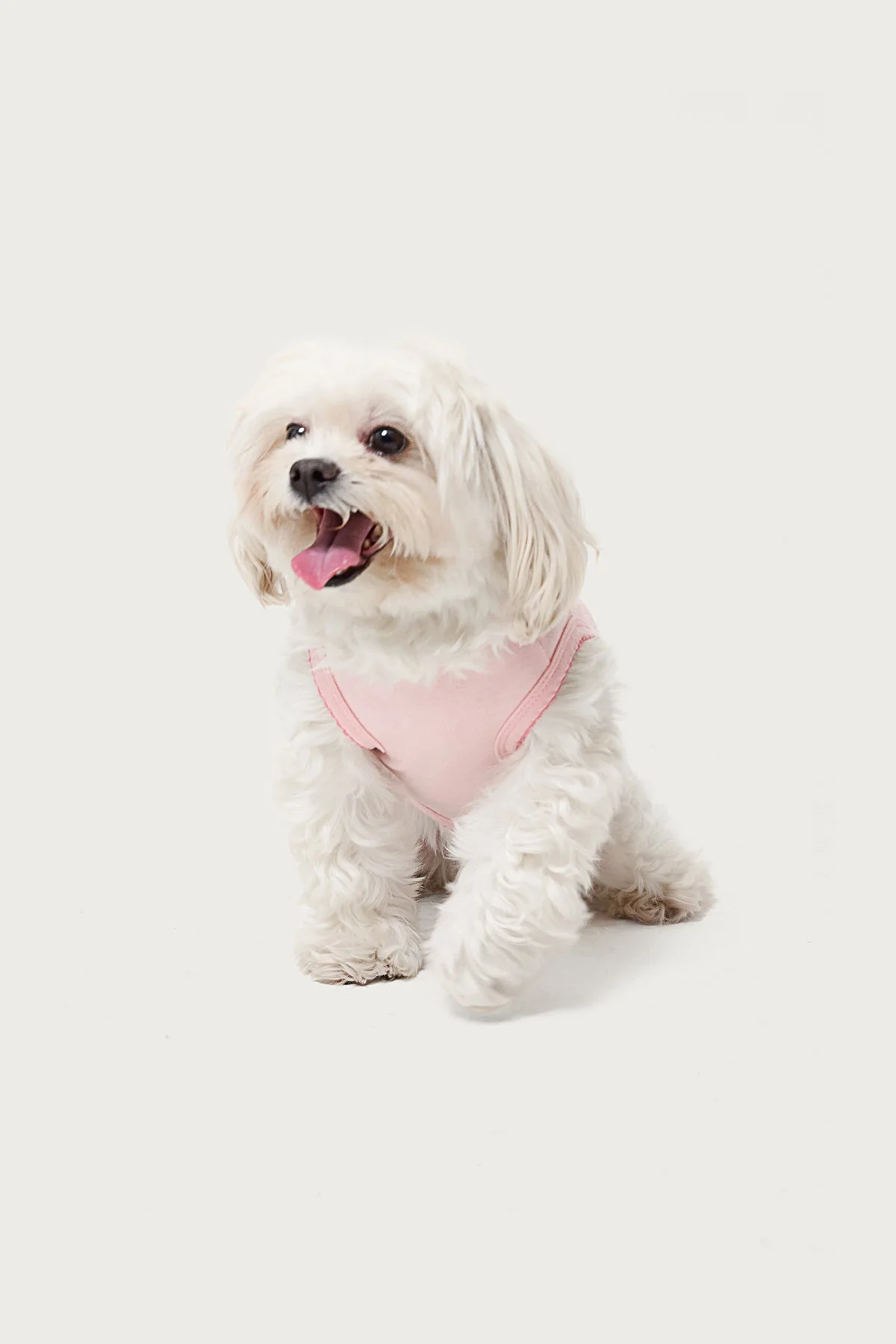 Pawfect Pet Tank Top - Image 3
