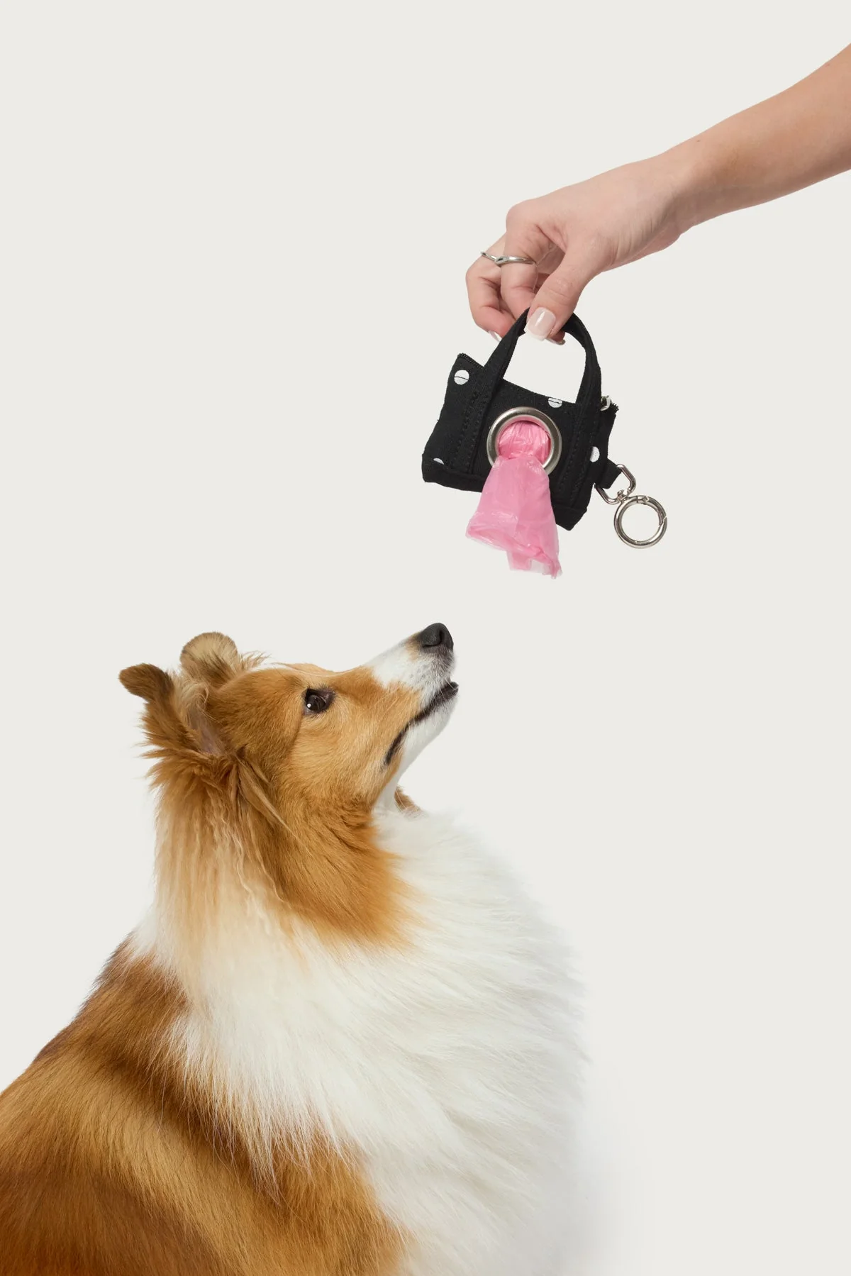 Tidy Tote Poop Bag Holder - Image 2