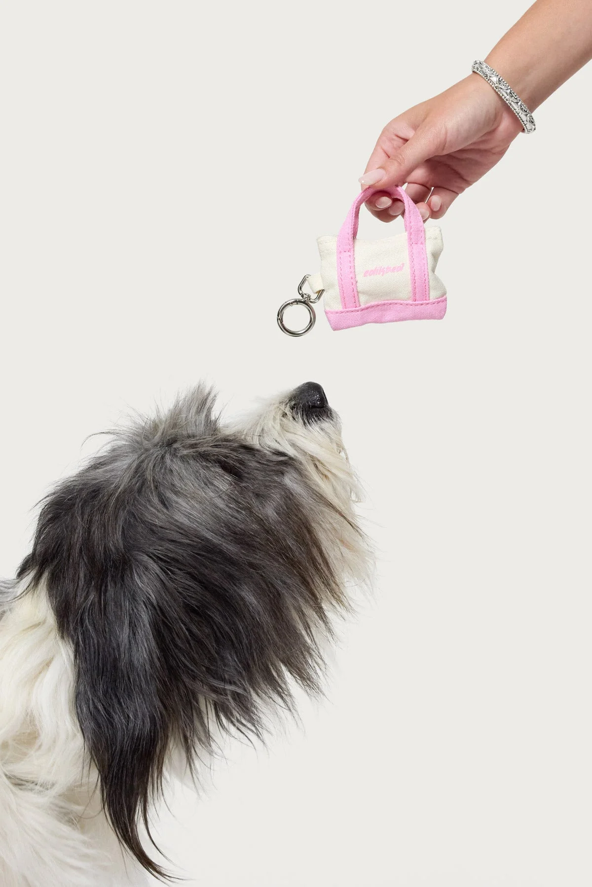 Tidy Tote Poop Bag Holder