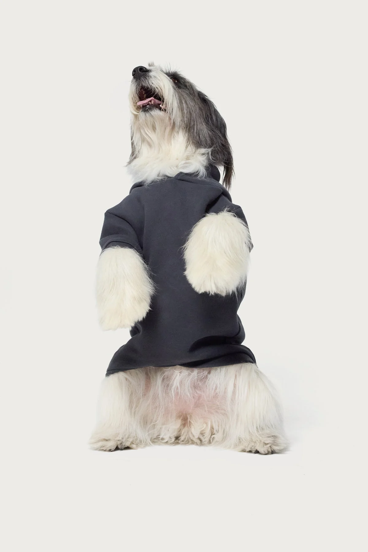 Bonney Bow Pet Hoodie - Image 3