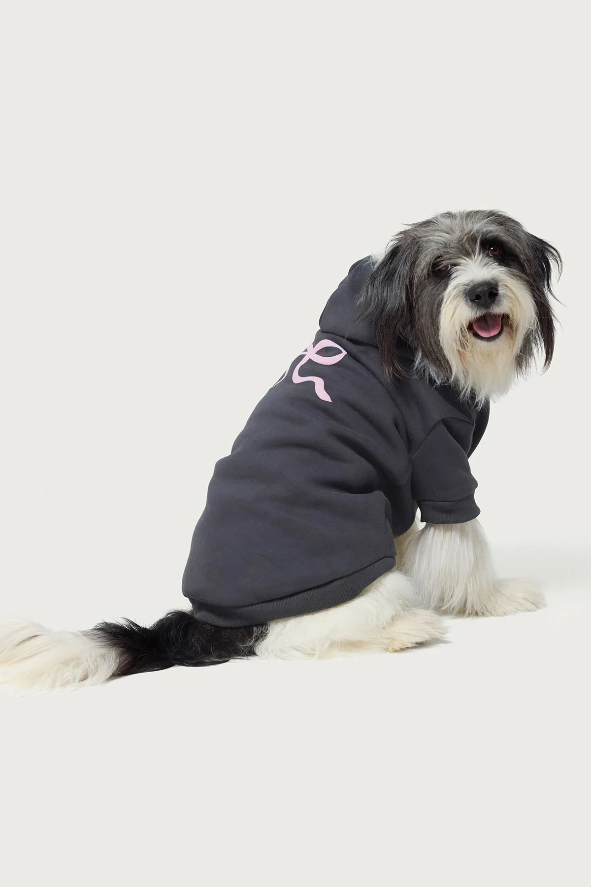 Bonney Bow Pet Hoodie - Image 5
