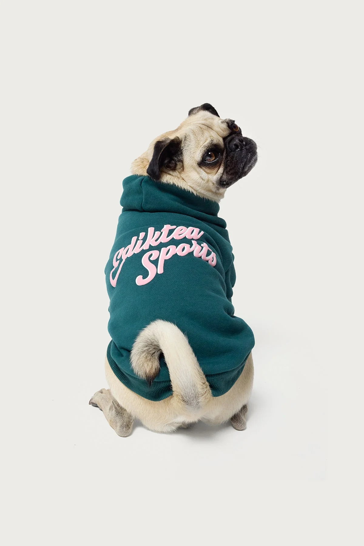 So Sporty Pet Hoodie - Image 2
