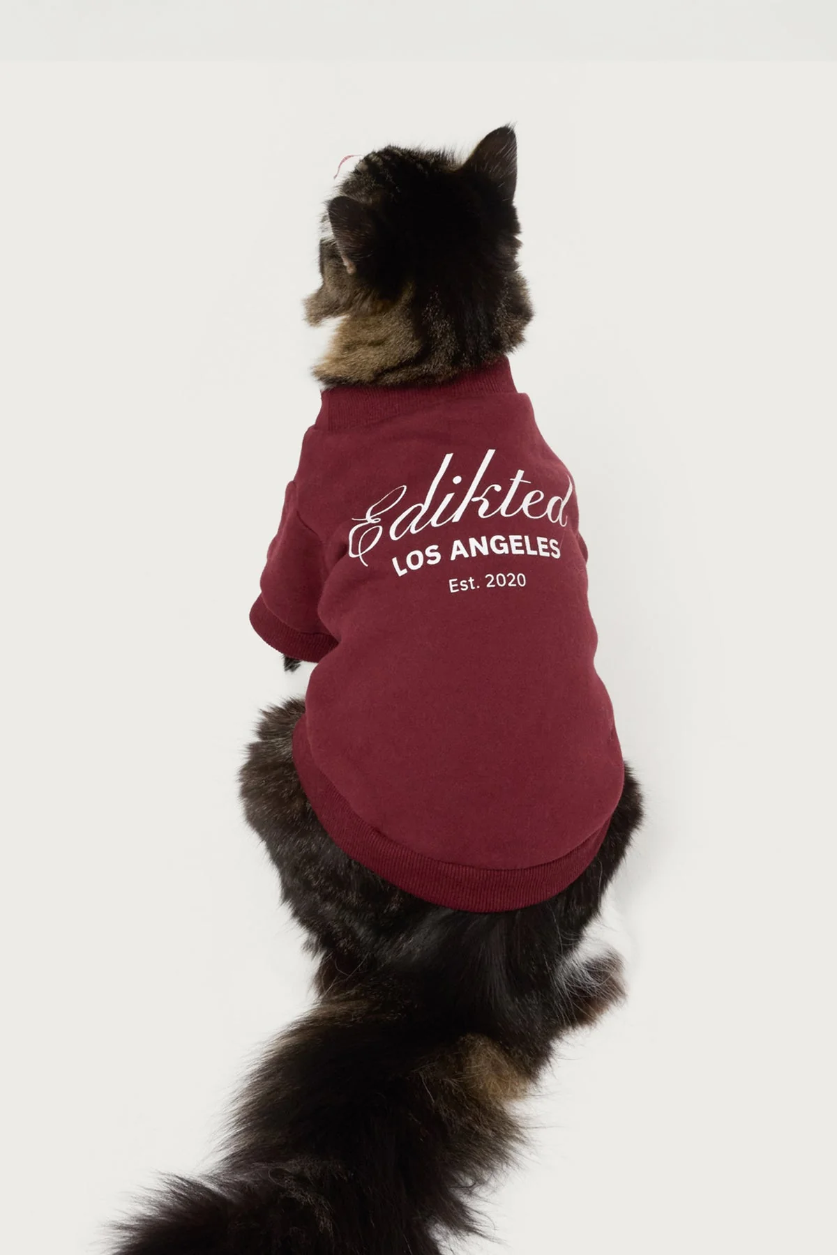 Get Edikted Pet Sweatshirt - Image 3