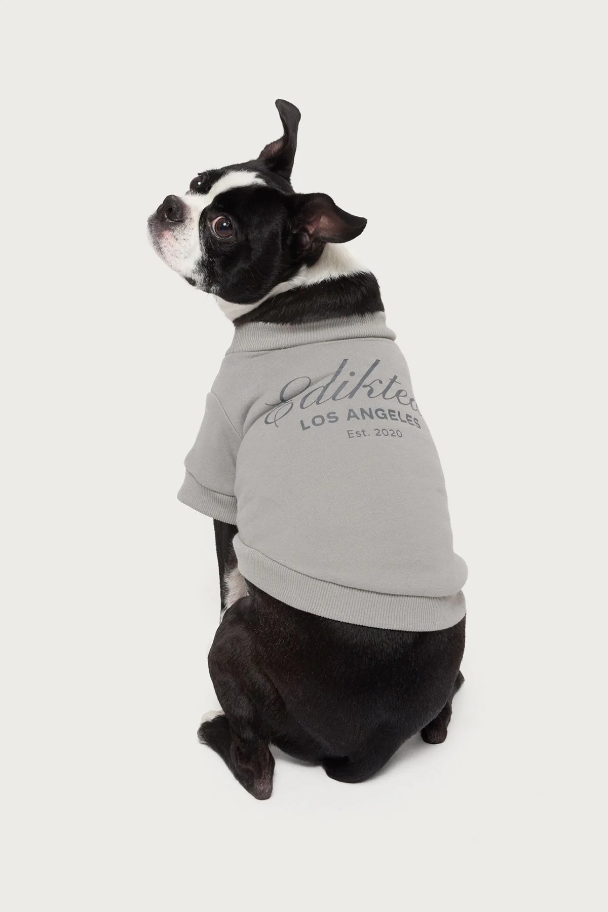 Get Edikted Pet Sweatshirt - Image 2