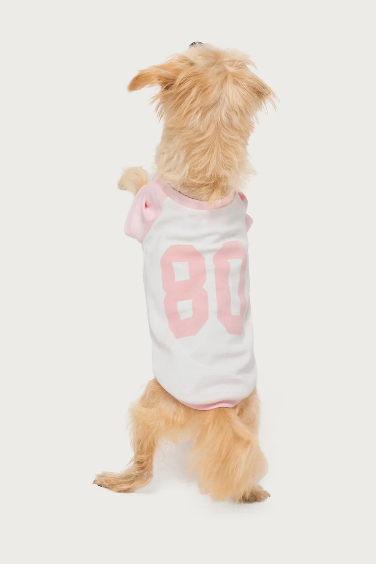 80's Raglan Pet T Shirt - Image 2